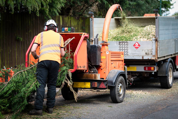 Lawn Watering Services in Perezville, TX